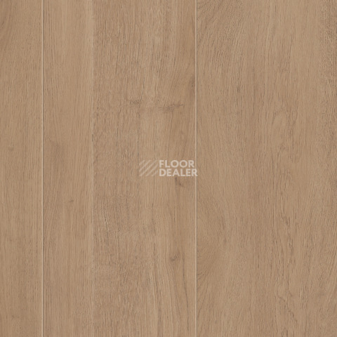 Kronotex Exquisit 8мм d89682 Дуб Мистраль бежевый фото 5 | FLOORDEALER